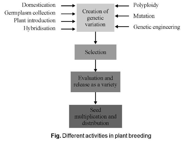 plant breeding