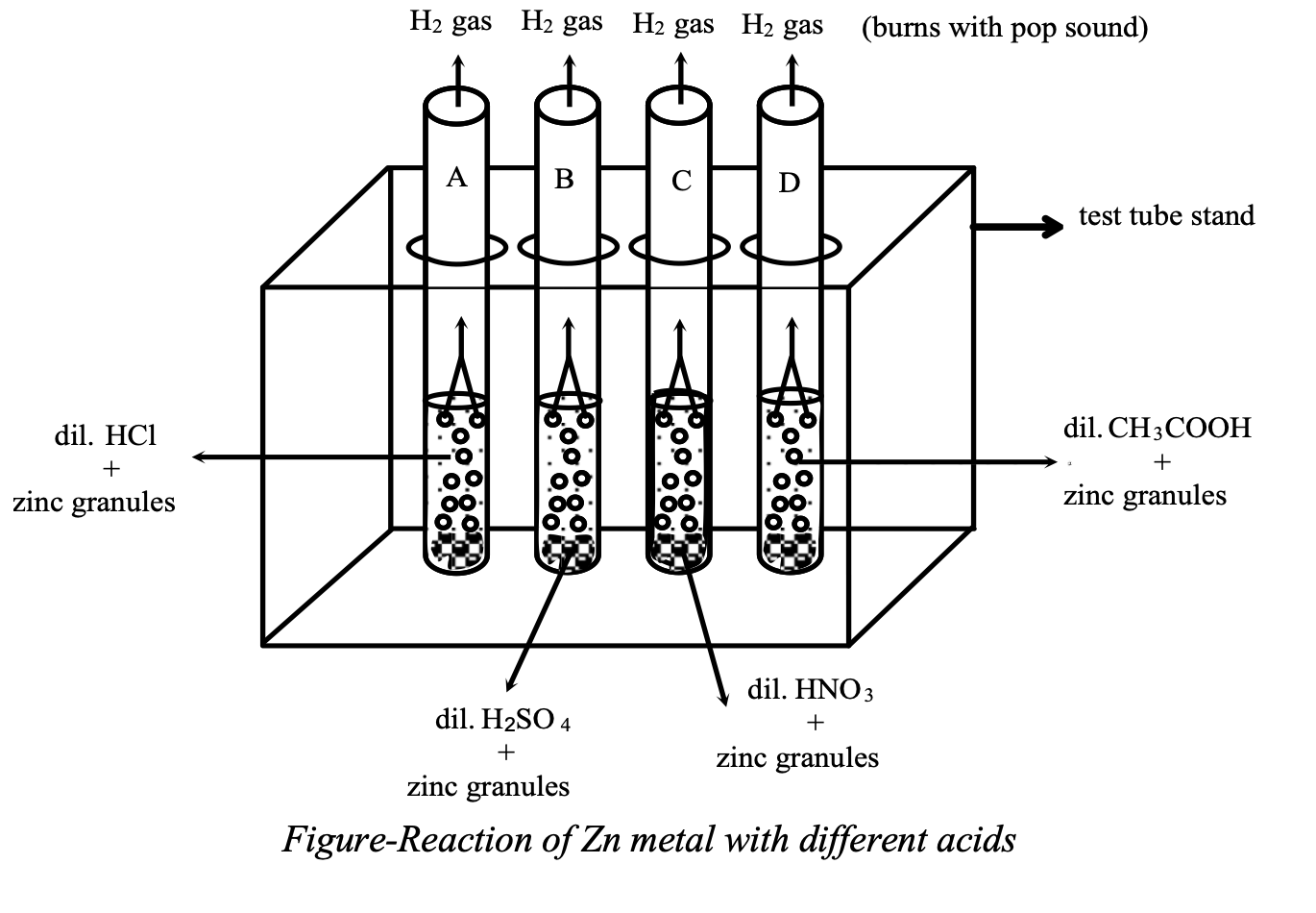 Reaction of Zn metal with different acids