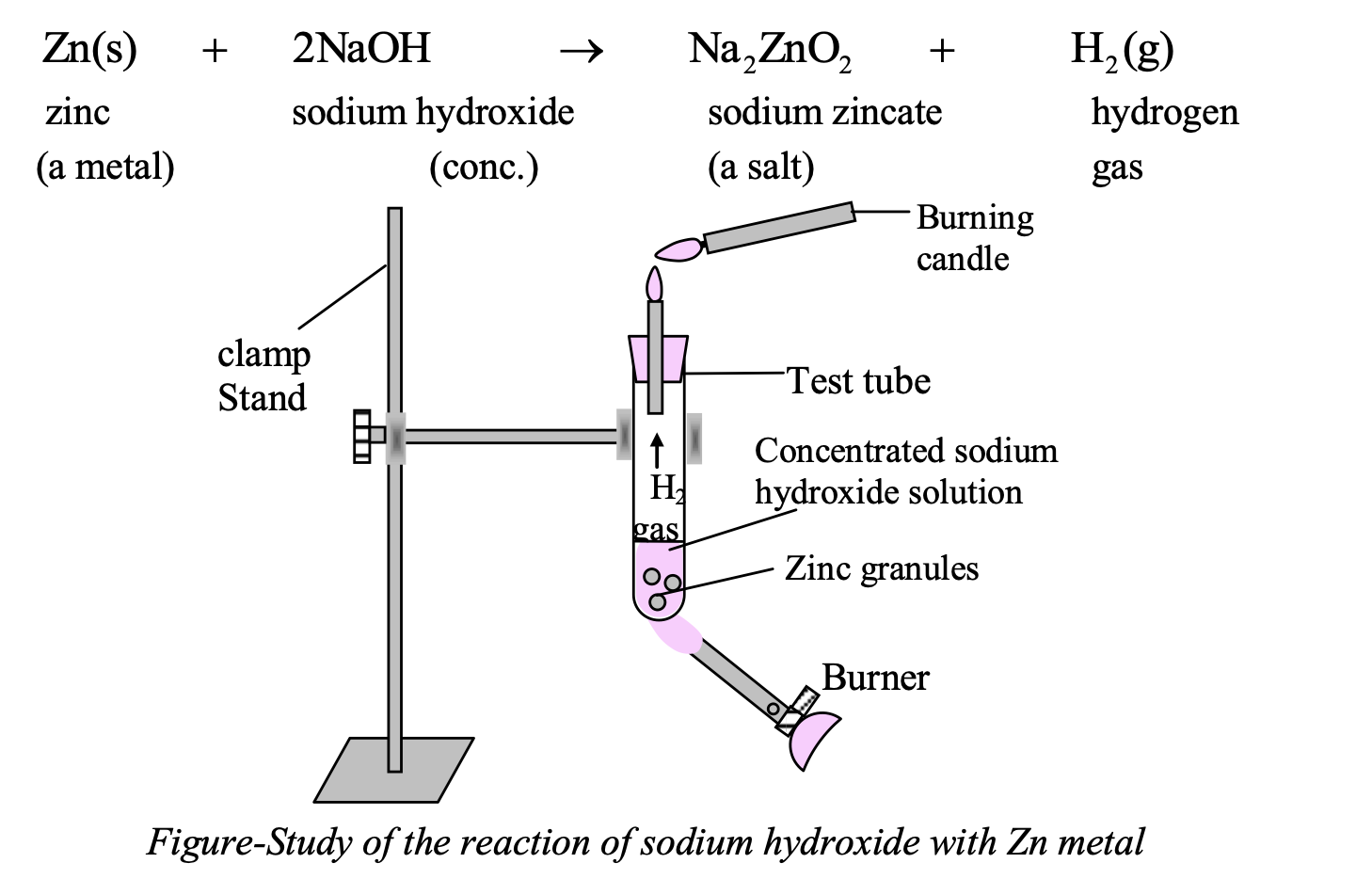 Study of the reaction of sodium hydroxide with Zn metal