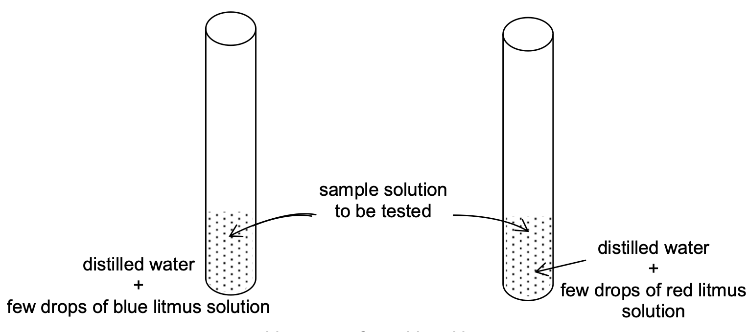 litmus test for acids and base