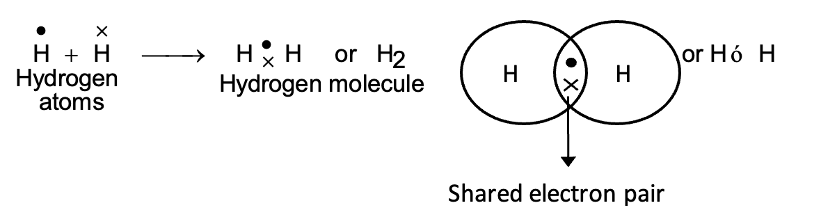 Hydrogen Molecule