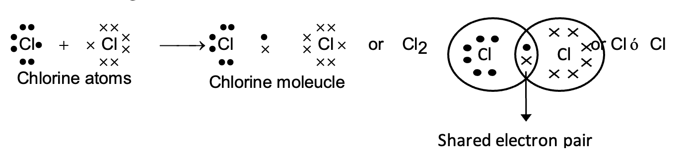 Chlorine molecule