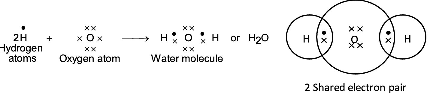 Formation of water molecule (H2O)