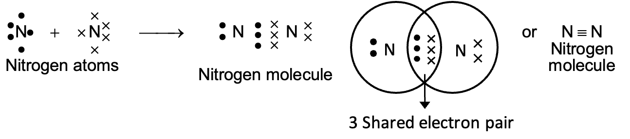 Formation of triple bond (Nitrogen molecule)