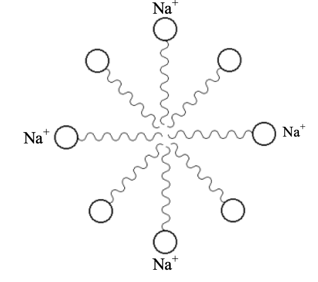 CLEANSING ACTION OF SOAPS AND DETERGENTS