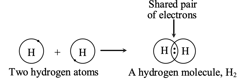 hydrogen atoms