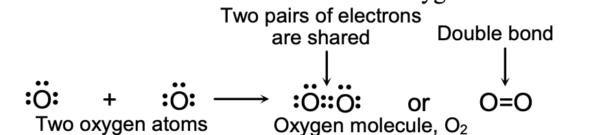 Formation of Oxygen Molecule O2