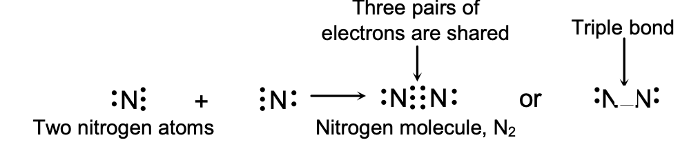 Formation of a Nitrogen Molecule
