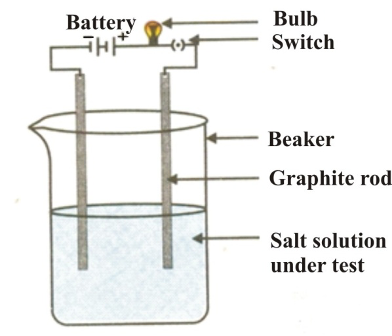 Testing the conductivity of a salt solution