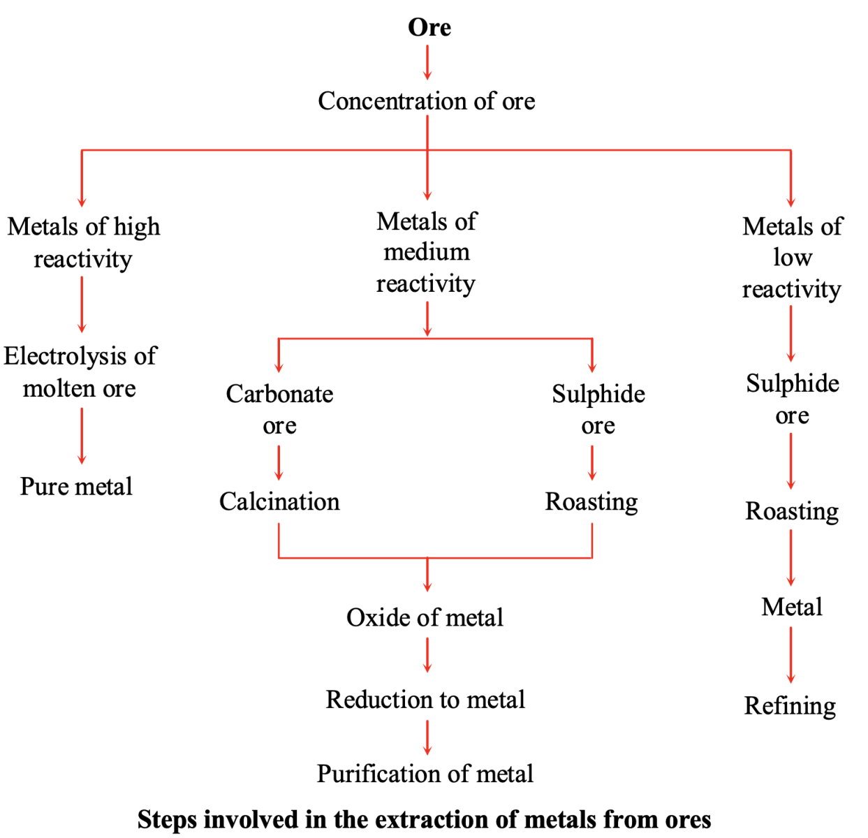 Steps involved in the extraction of metals from ores
