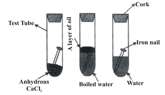 iron nails test tube