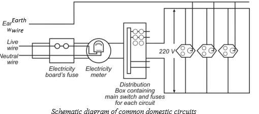 Domestic Electric Motor