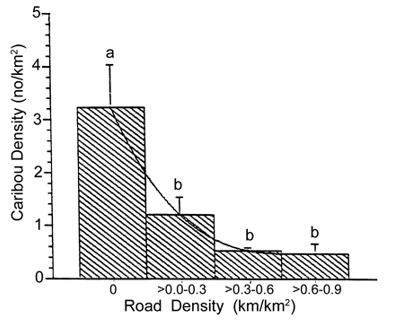 Road Density