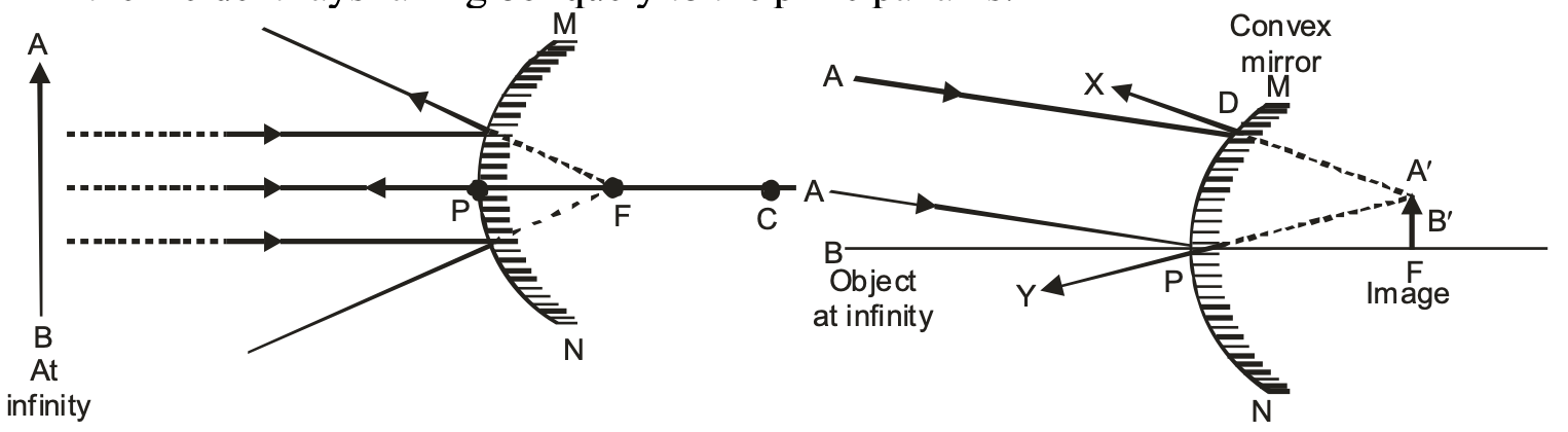 principal axis of the convex mirror