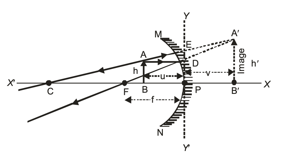 ve Radius of curvature (R) = -ve Object distance (u) = -ve Object height (h) = +ve Image distance (v) = +ve Image height (h')