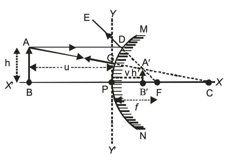 convex mirror always forms a virtual and erect image