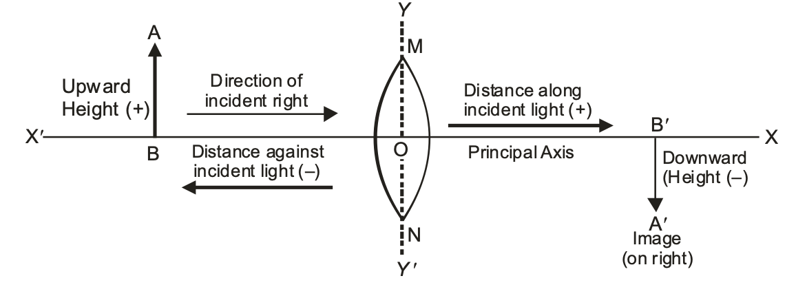 convex as well as concave spherical lenses