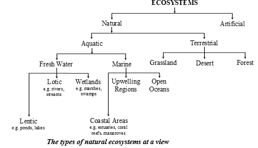 Types of Ecosystem