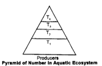 Pyramid of number in aquatic ecosystem