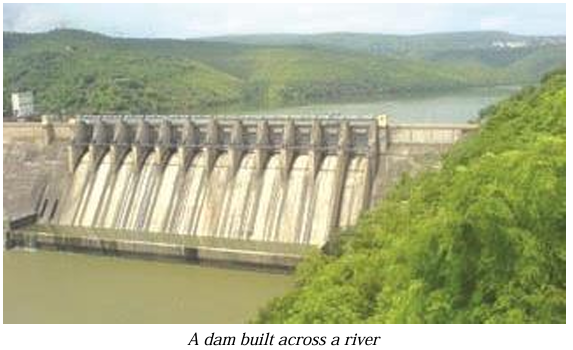 DAMS