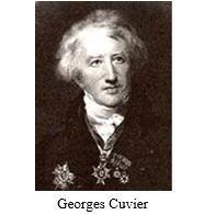 Georges Cuvier