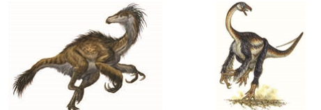 Sometimes an evolutionary change produced in an organism for one purpose later on becomes more useful for an entirely different function.