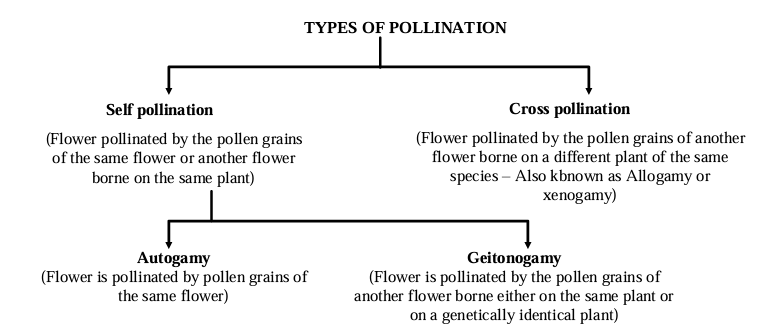 Types Of Pollination