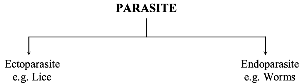 Parasite can be further classified