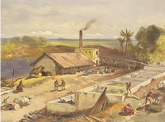 An Indigo dye factory in Bengal, 1867