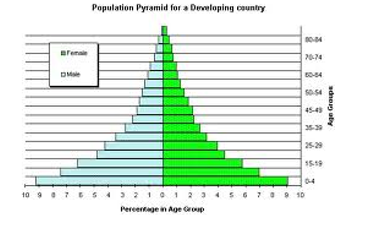 Population Pyramid Graph