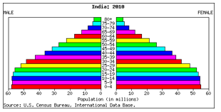Age and sex distribution for the year 2010 Graph