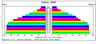 Predicted age and sex distribution for the year 2020 Graph