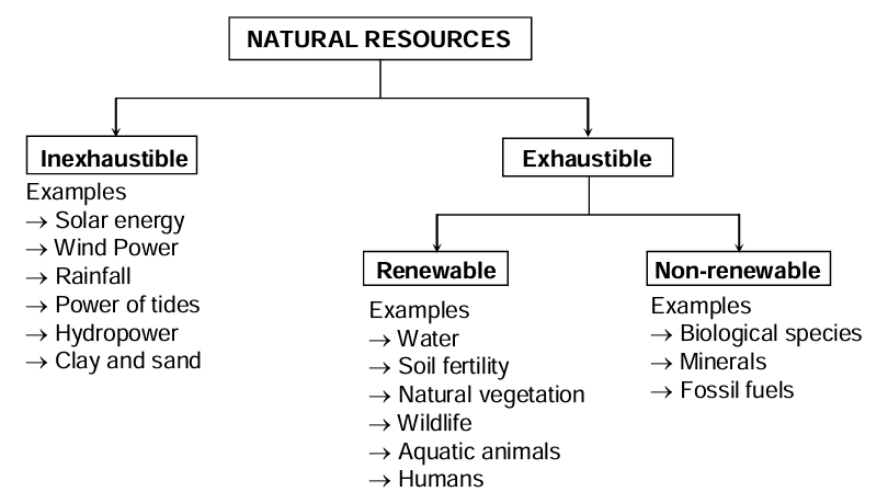 Natural Resources