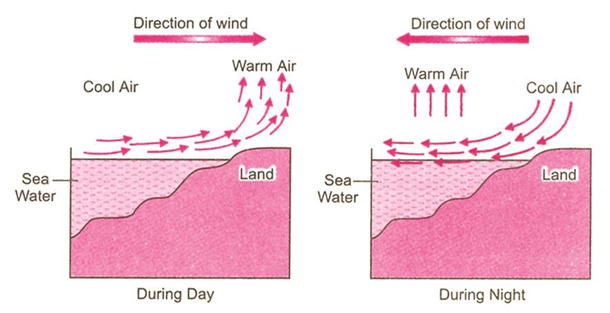 Sea breeze and land breeze