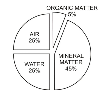 organic matter