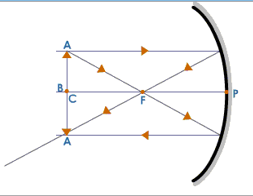 When the Object is Placed at the Center of Curvature