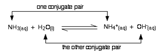 Conjugate Acid - Base Pairs 3