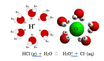 Role of Water in the Ionisation of Acids and Bases