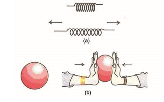change the shape and size of the object 