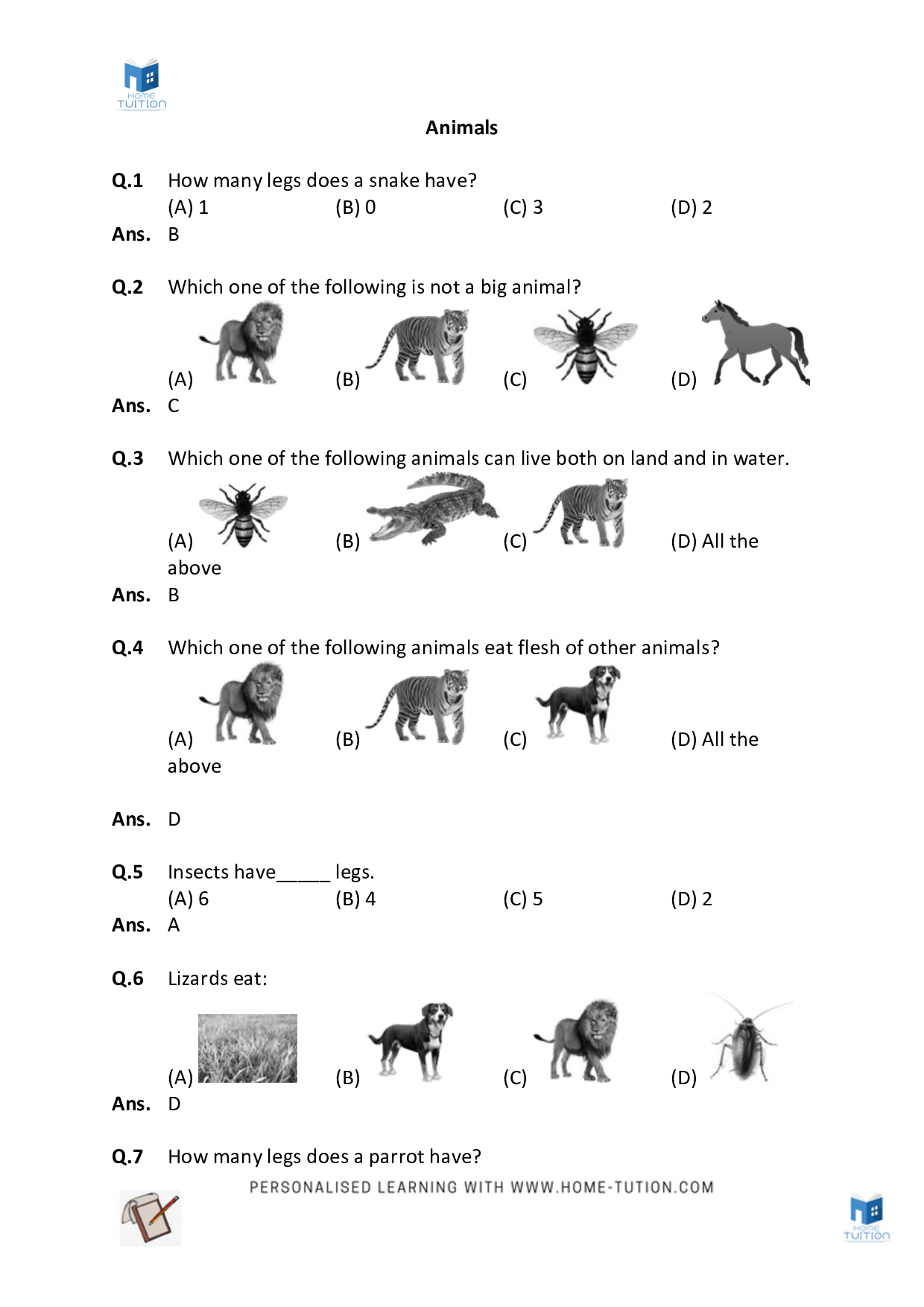 Worksheet For Chapter 5 Animals
