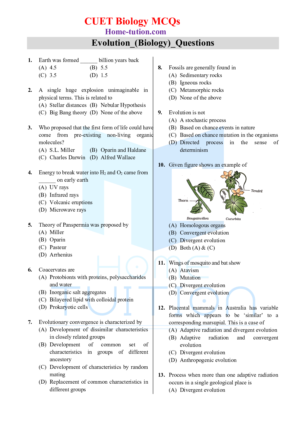 Biology MCQ Questions for CUET Chapter 7 Evolution
