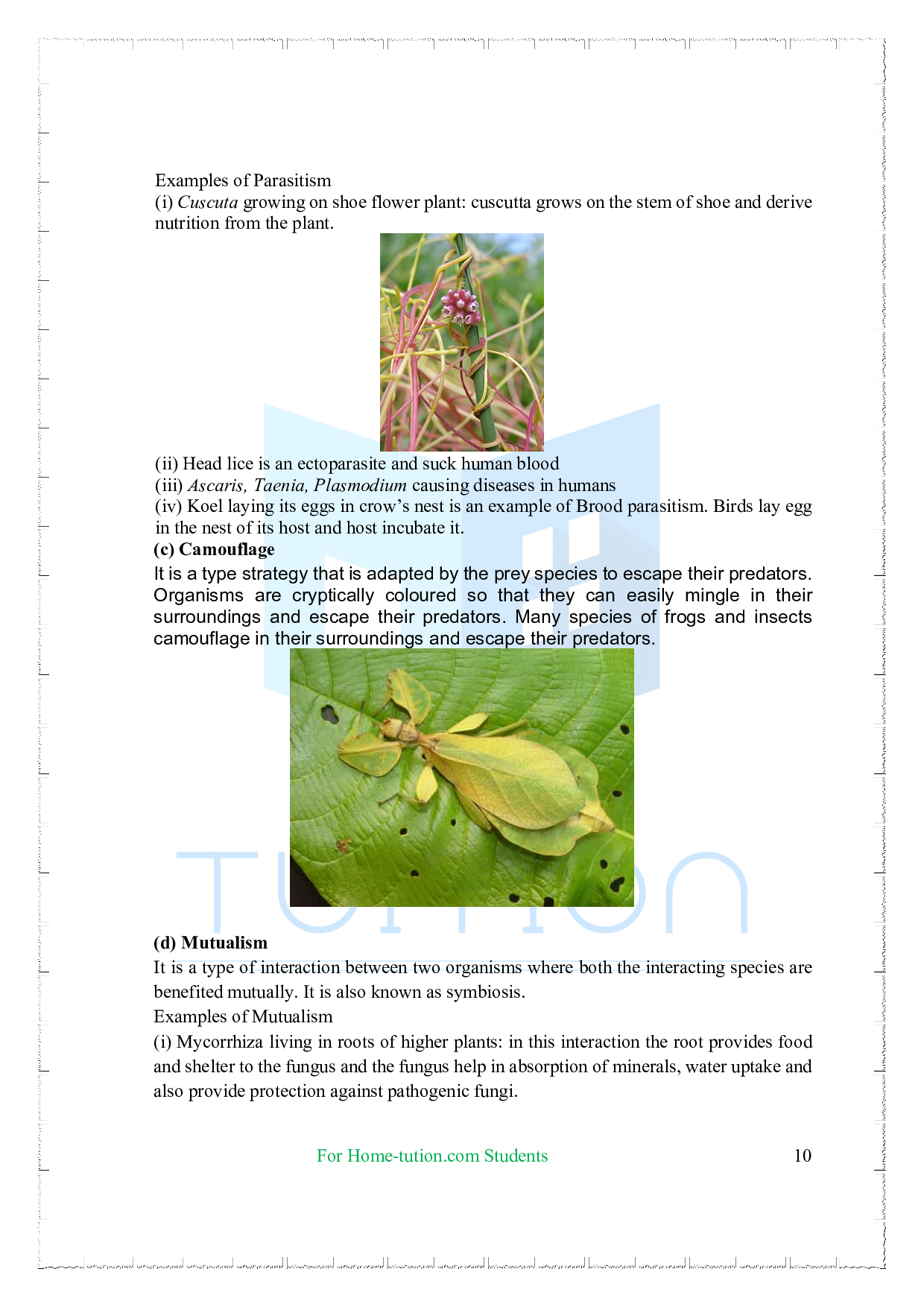Chapter 13 Organisms and Populations