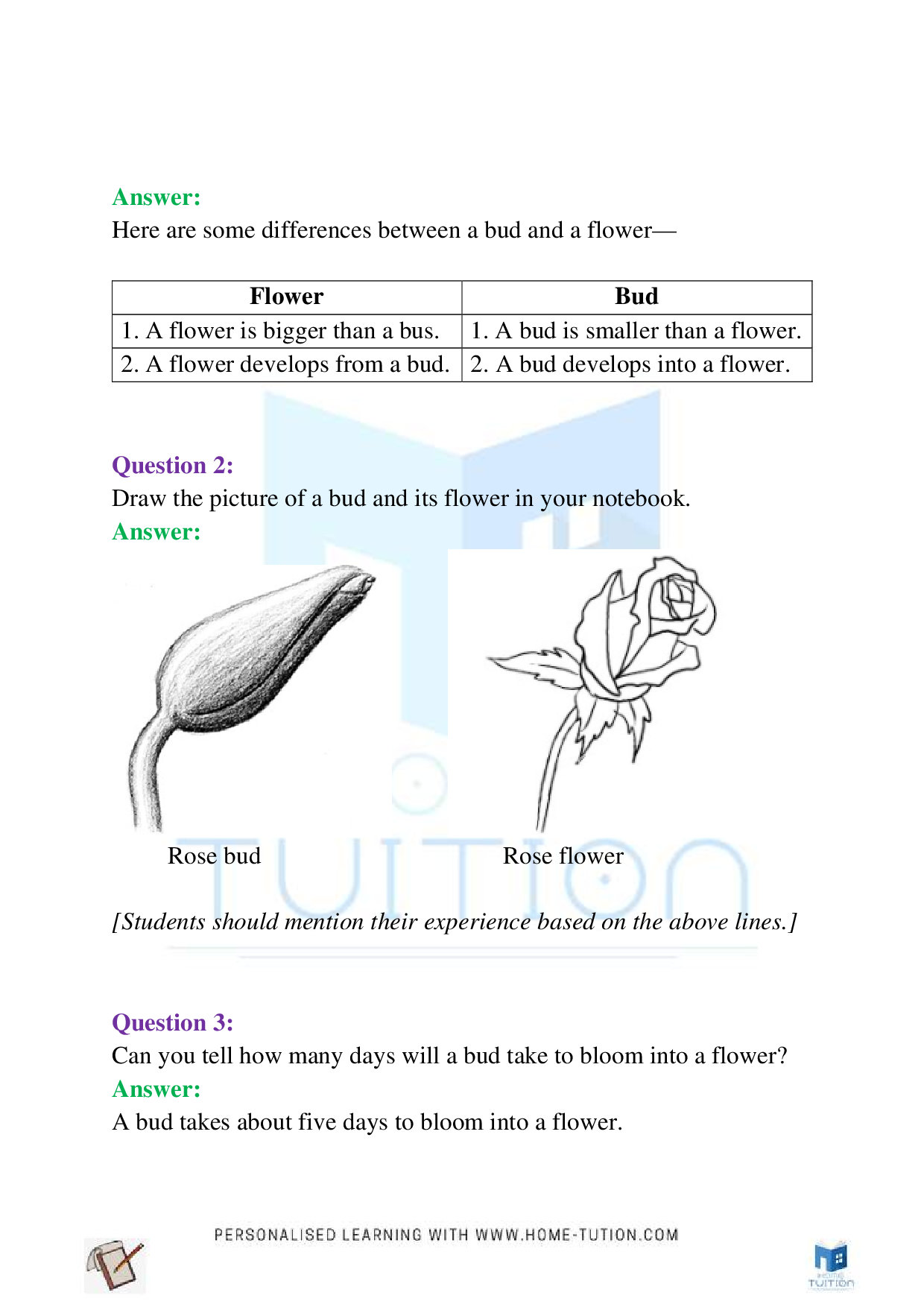 NCERT Class 4 EVS Chapter-11 The Valley of Flowers