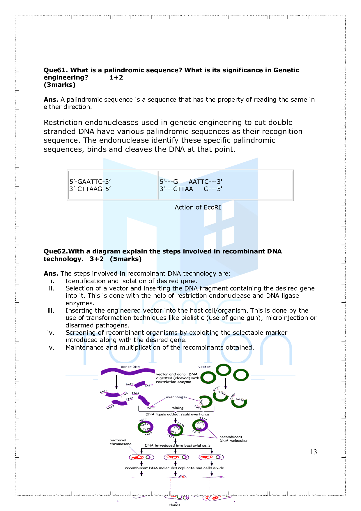 Chapter-Recombinant DNA Technology Questions