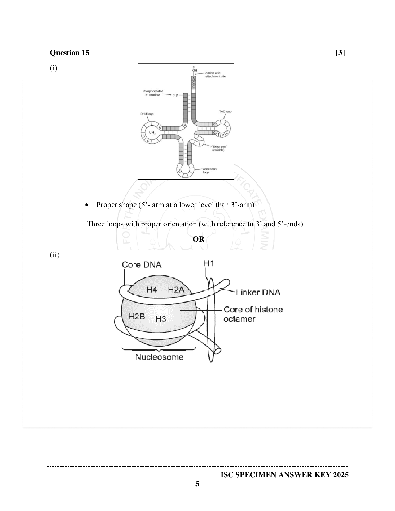 ISE Sample paper for Biology