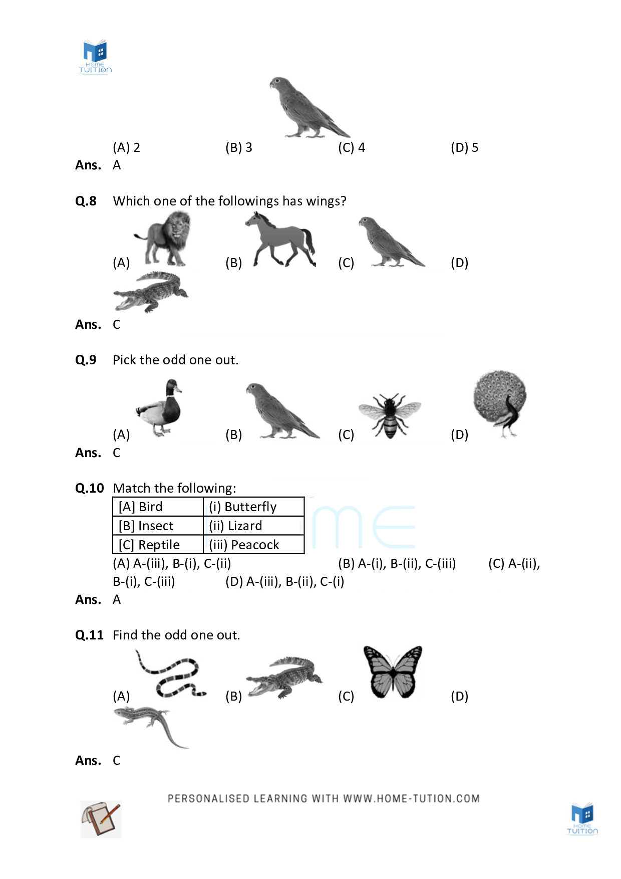 Worksheet For Chapter 5 Animals