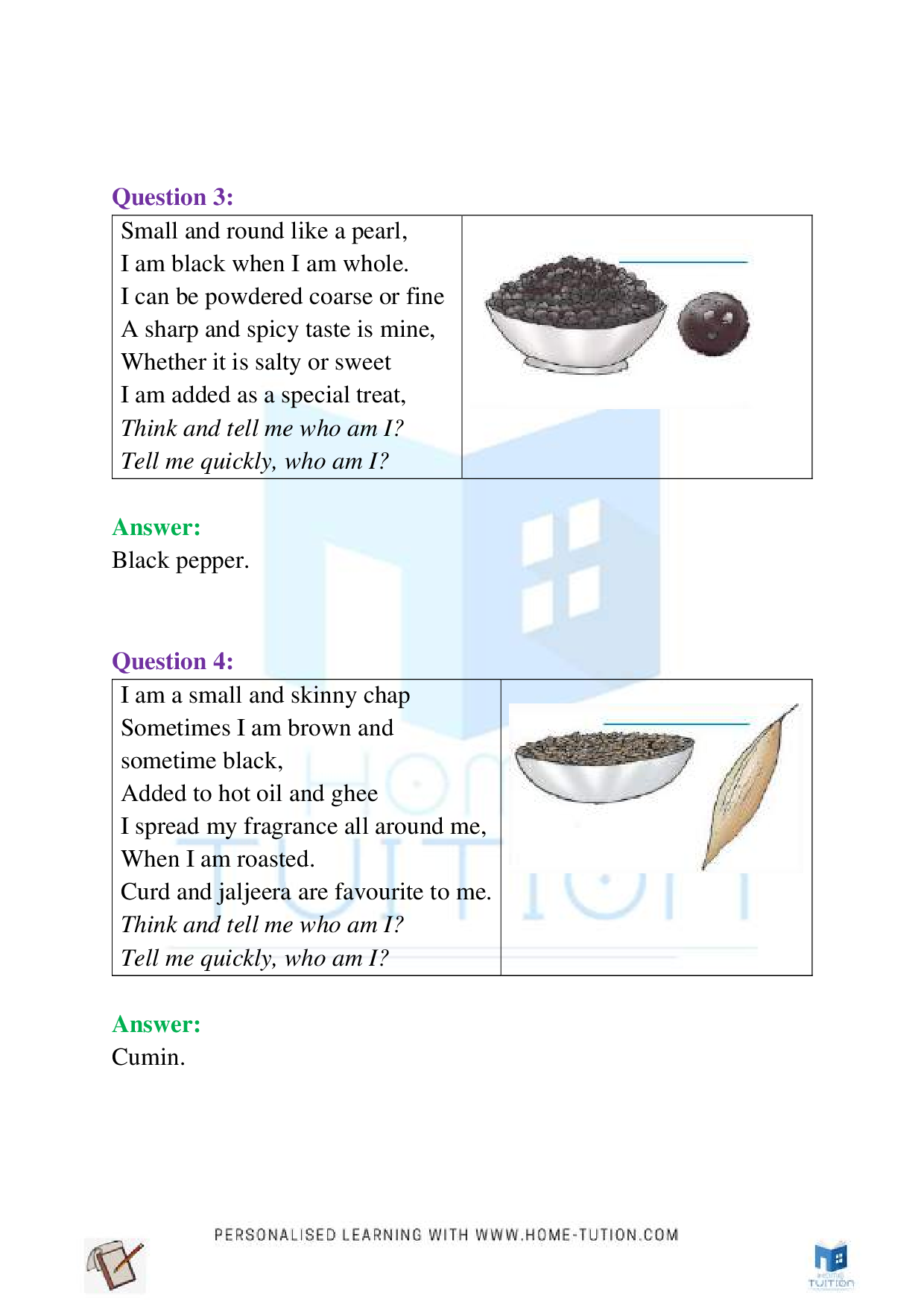 NCERT Class 4 EVS Chapter-25 Spicy Riddles