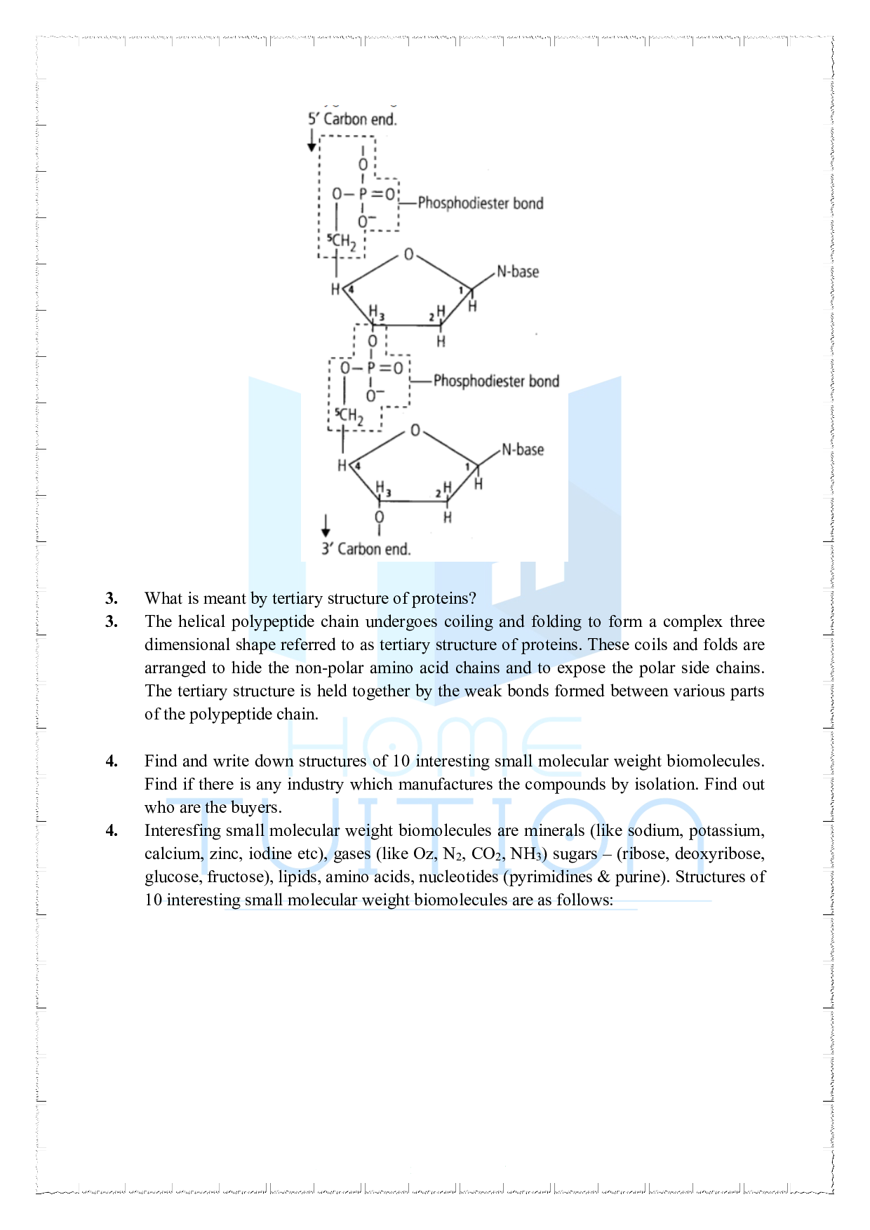 Chapter 9 Biomolecules