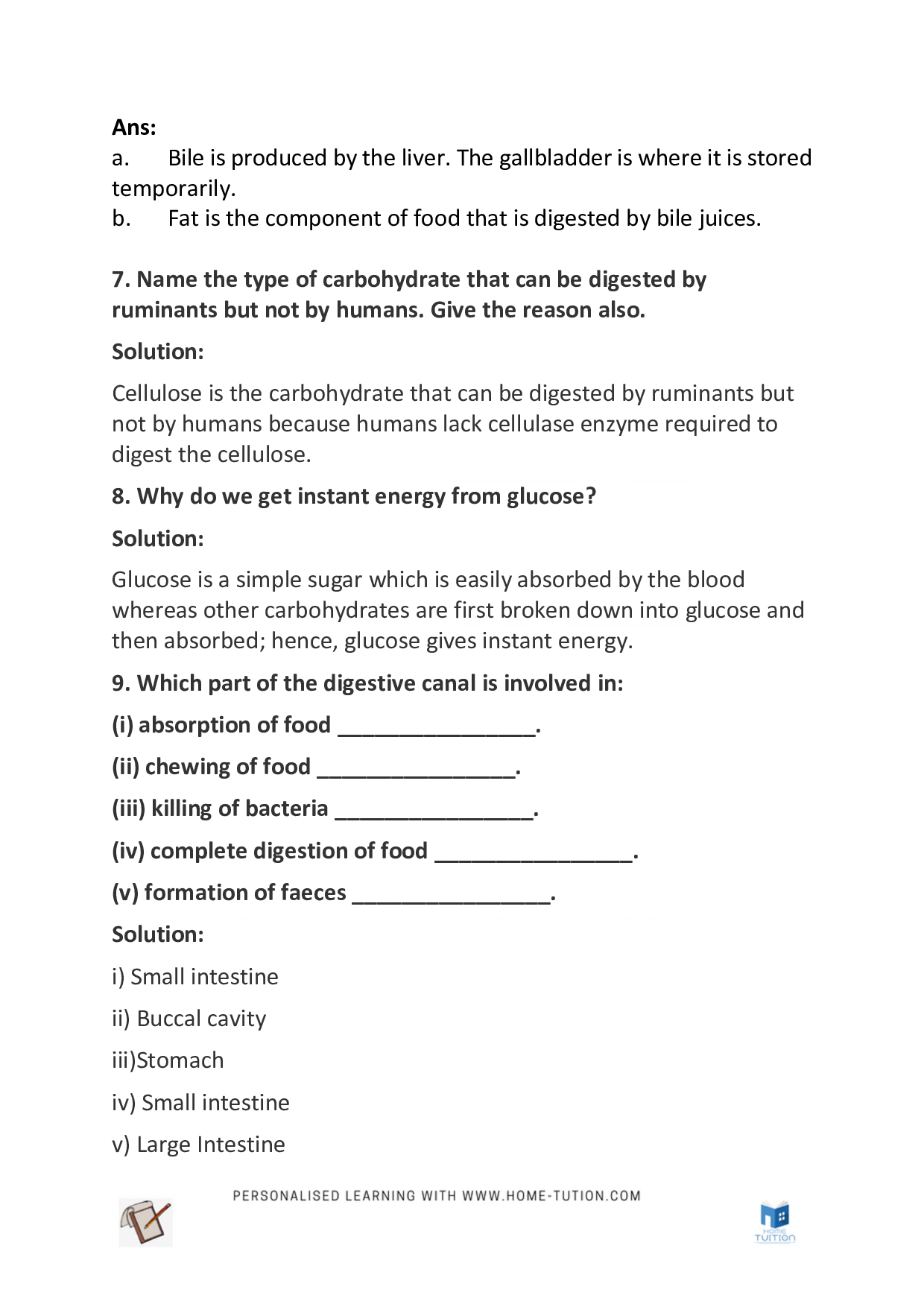 Class 7 Science Chapter 2–Nutrition in Animals