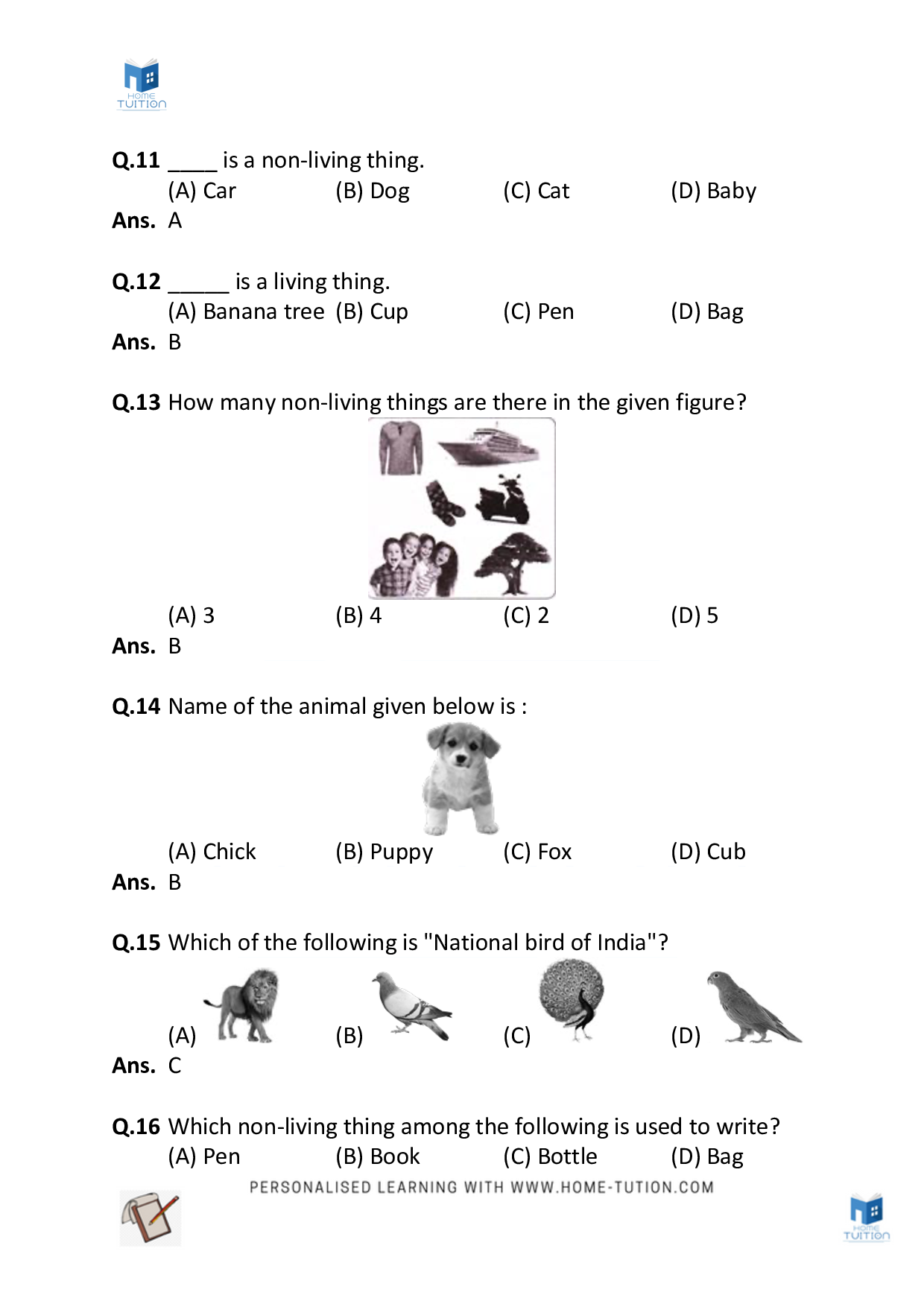 Worksheet For Chapter 9 Living and Non-living